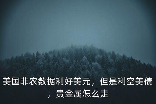 美國(guó)非農(nóng)數(shù)據(jù)利好美元，但是利空美債，貴金屬怎么走