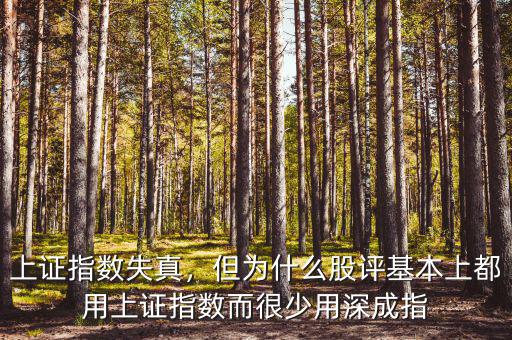 上證指數(shù)失真，但為什么股評(píng)基本上都用上證指數(shù)而很少用深成指