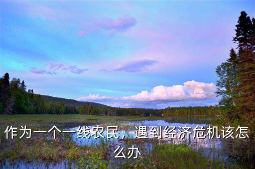 作為一個(gè)一線農(nóng)民，遇到經(jīng)濟(jì)危機(jī)該怎么辦