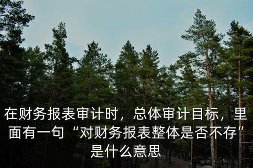 什么是未審計財務(wù)報表,在財務(wù)報表審計時