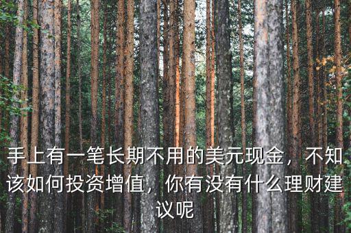 手上有一筆長(zhǎng)期不用的美元現(xiàn)金，不知該如何投資增值，你有沒(méi)有什么理財(cái)建議呢