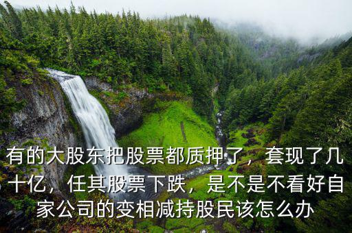 有的大股東把股票都質(zhì)押了，套現(xiàn)了幾十億，任其股票下跌，是不是不看好自家公司的變相減持股民該怎么辦
