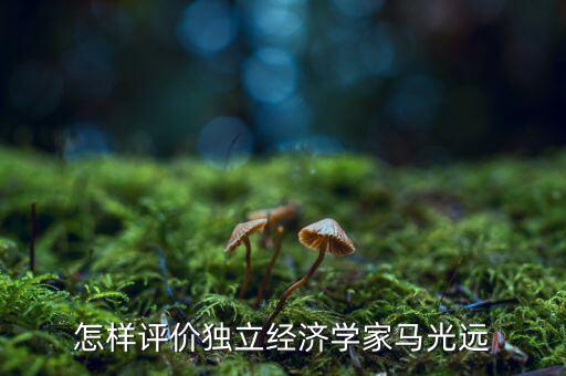 經(jīng)濟學家對馬云怎么看,馬云勸年輕人不要買房