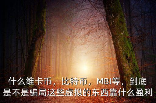 什么維卡幣，比特幣，MBI等，到底是不是騙局這些虛擬的東西靠什么盈利