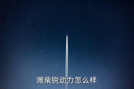 2015年濰柴銳動(dòng)力賣(mài)了多少,為什么一年多了