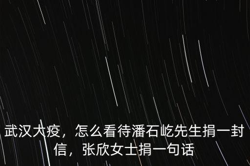 武漢大疫，怎么看待潘石屹先生捐一封信，張欣女士捐一句話