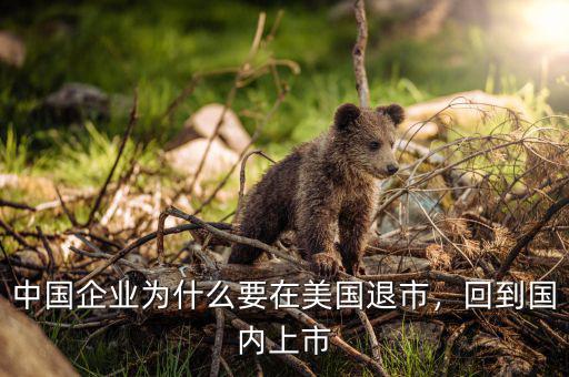 中國企業(yè)為什么要在美國退市，回到國內(nèi)上市