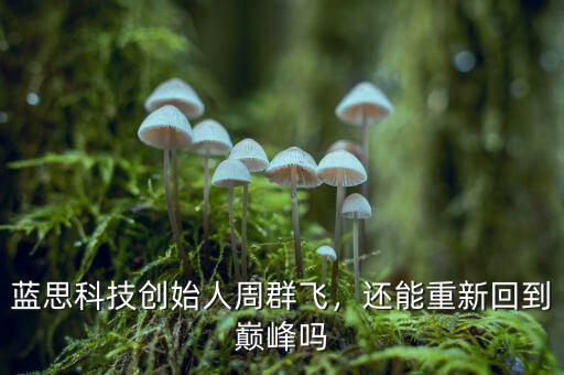 藍(lán)思科技創(chuàng)始人周群飛，還能重新回到巔峰嗎