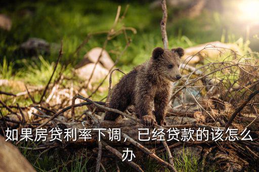 如果房貸利率下調(diào)，已經(jīng)貸款的該怎么辦