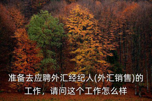 準備去應聘外匯經(jīng)紀人(外匯銷售)的工作，請問這個工作怎么樣