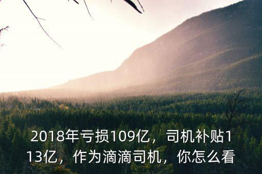 2018年虧損109億，司機補貼113億，作為滴滴司機，你怎么看