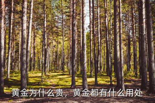 黃金為什么貴，黃金都有什么用處