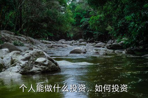 個人能做什么投資，如何投資