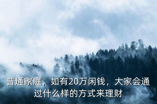 普通家庭，如有20萬閑錢，大家會通過什么樣的方式來理財