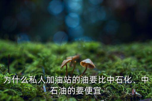 為什么私人加油站的油要比中石化、中石油的要便宜