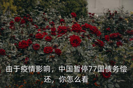 由于疫情影響，中國暫停77國債務(wù)償還，你怎么看