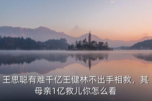 王思聰有難千億王健林不出手相救，其母親1億救兒你怎么看