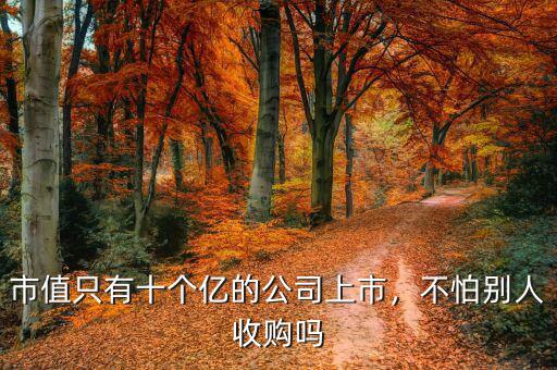 市值只有十個億的公司上市，不怕別人收購嗎