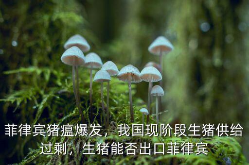 菲律賓豬瘟爆發(fā)，我國現(xiàn)階段生豬供給過剩，生豬能否出口菲律賓