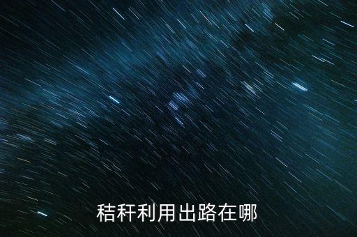 廢棄秸稈怎么利用賺錢(qián),秸稈利用出路在哪