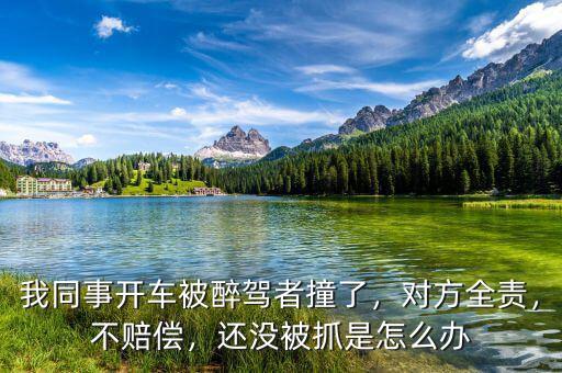 我同事開(kāi)車(chē)被醉駕者撞了，對(duì)方全責(zé)，不賠償，還沒(méi)被抓是怎么辦