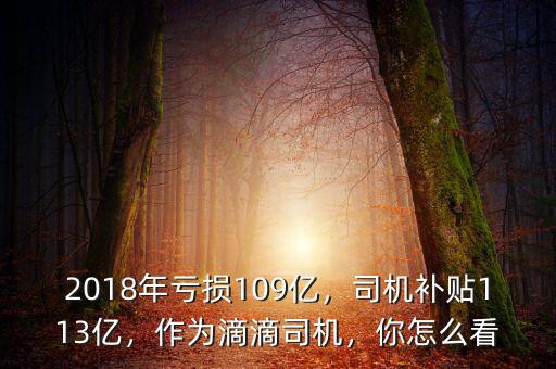2018年虧損109億，司機(jī)補(bǔ)貼113億，作為滴滴司機(jī)，你怎么看