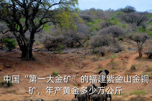 中國(guó)“第一大金礦”的福建紫金山金銅礦，年產(chǎn)黃金多少萬公斤
