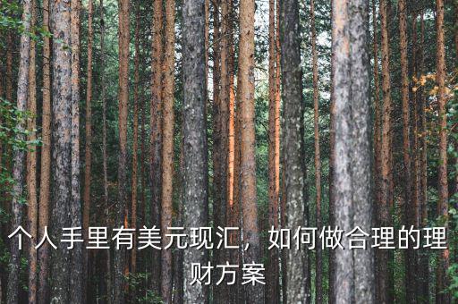 個(gè)人手里有美元現(xiàn)匯，如何做合理的理財(cái)方案