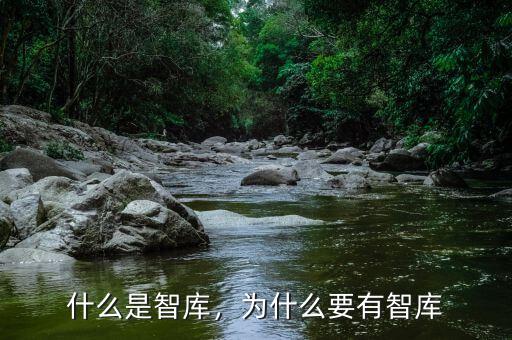 什么是智庫，為什么要有智庫