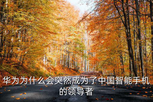 華為為什么會(huì)突然成為了中國(guó)智能手機(jī)的領(lǐng)導(dǎo)者