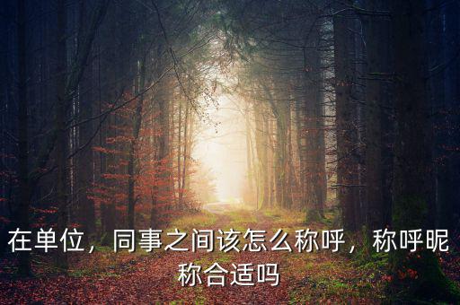 在單位，同事之間該怎么稱(chēng)呼，稱(chēng)呼昵稱(chēng)合適嗎