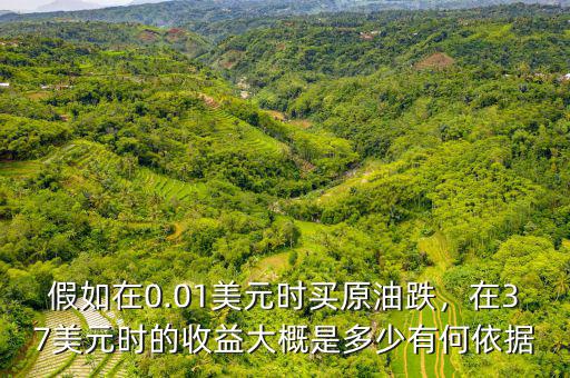 假如在0.01美元時買原油跌，在37美元時的收益大概是多少有何依據(jù)