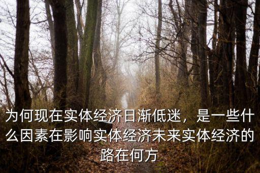 中國實體經(jīng)濟(jì)的具體問題是什么,未來實體經(jīng)濟(jì)的路在何方
