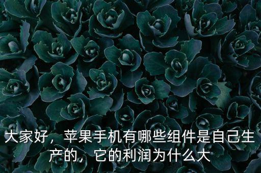 大家好，蘋果手機(jī)有哪些組件是自己生產(chǎn)的，它的利潤(rùn)為什么大