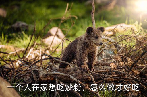 一個人在家想吃炒粉，怎么做才好吃