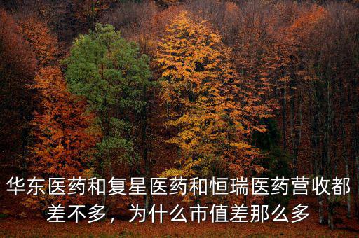 華東醫(yī)藥和復(fù)星醫(yī)藥和恒瑞醫(yī)藥營收都差不多，為什么市值差那么多