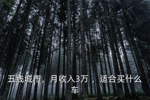 五線城市，月收入3萬 ，適合買什么車