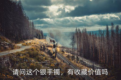請問這個銀手鐲，有收藏價值嗎