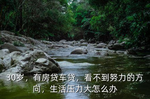 30歲，有房貸車貸，看不到努力的方向，生活壓力大怎么辦