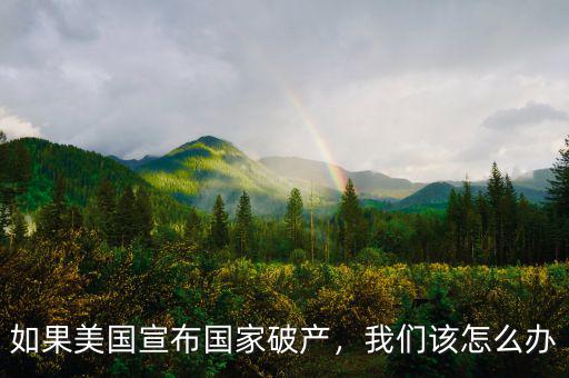 如果美國宣布國家破產，我們該怎么辦