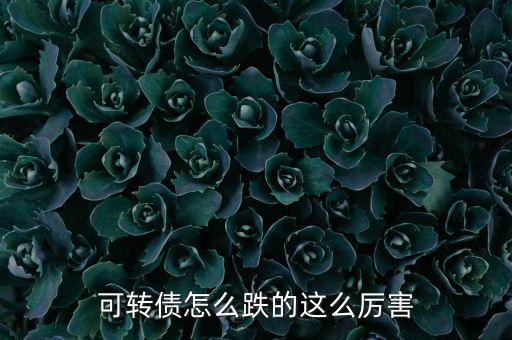 跌最厲害的什么股,可轉債怎么跌的這么厲害