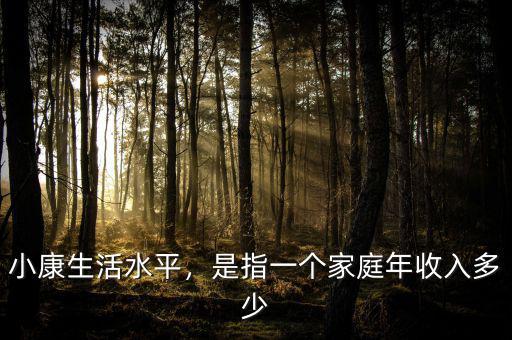 小康生活水平，是指一個家庭年收入多少