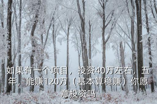 如果有一個(gè)項(xiàng)目，投資40萬左右，五年，能賺120萬（基本算穩(wěn)賺）你愿意投資嗎