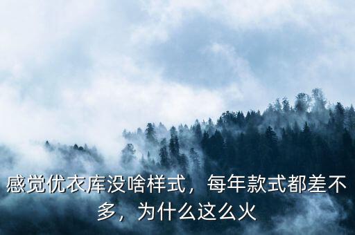感覺優(yōu)衣庫沒啥樣式，每年款式都差不多，為什么這么火