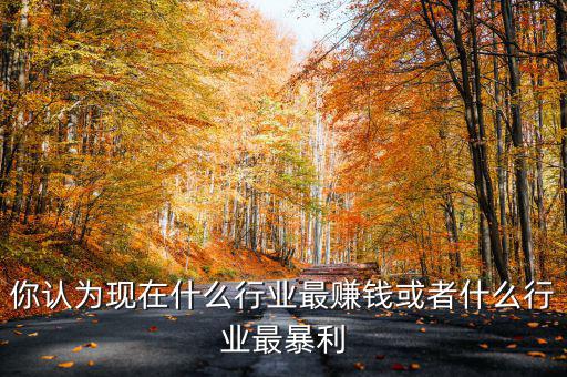 你認(rèn)為現(xiàn)在什么行業(yè)最賺錢或者什么行業(yè)最暴利