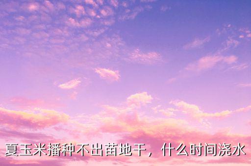 夏玉米播種不出苗地干，什么時間澆水