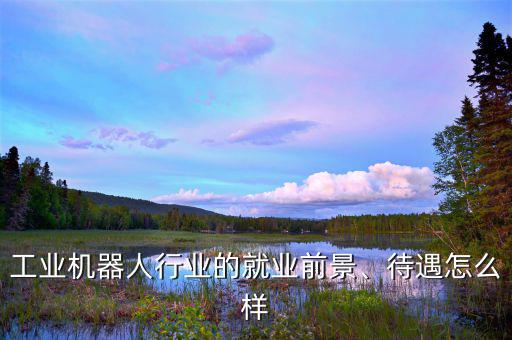 工業(yè)機器人行業(yè)的就業(yè)前景、待遇怎么樣