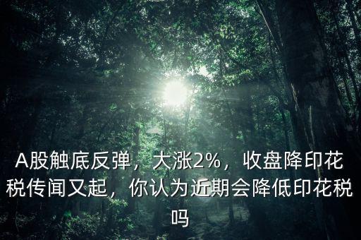 A股觸底反彈，大漲2%，收盤降印花稅傳聞又起，你認(rèn)為近期會降低印花稅嗎
