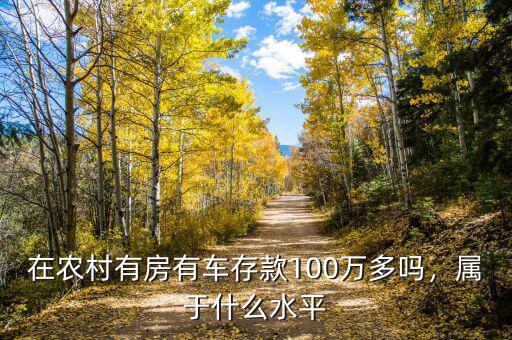 在農(nóng)村有房有車存款100萬多嗎，屬于什么水平