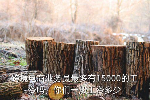 跨境電商業(yè)務(wù)員最多有15000的工資嗎，你們一般工資多少